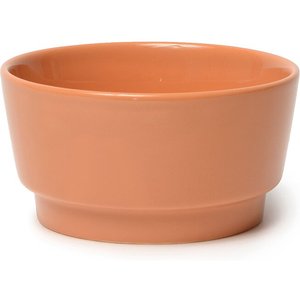 Waggo Gloss Ceramic Dog Bowl, Rust, 2-cup