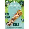 Oxbow Enriched Life Apple Stick Bouquet Small Animal Toy