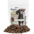 Fantastic Dog Chews 95% Beef Bites Dog Treats, 6-oz bag