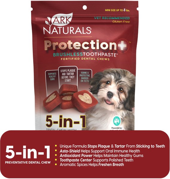 Ark Naturals Brushless Toothpaste Protection+ Mini Dental Dog Treats, 4-oz bag, Count Varies slide 1 of 4