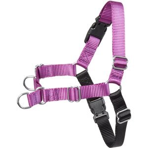 Frisco Basic No Pull Harness, Black/Purple, M/D