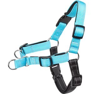 Frisco Padded Reflective No Pull Harness, Blue/Black, M/D