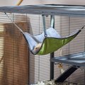 Frisco Forest Hanging  Small Pet Hammock