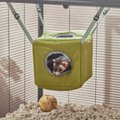 Frisco Forest Plush Small Pet  Hanging Cube