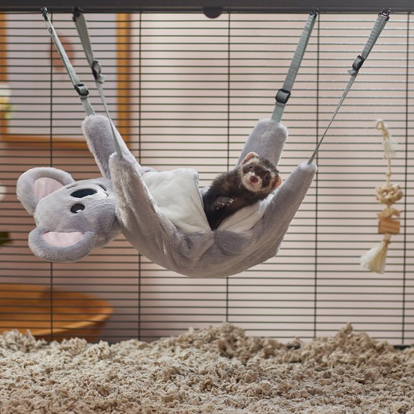 Frisco Hanging Koala  Small Pet Bed slide 1 of 6