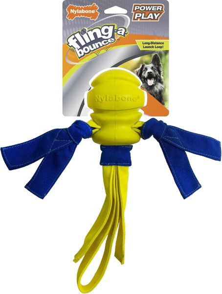 Nylabone Power Play Fling-a-Bounce Dog Toy, Large slide 1 of 10