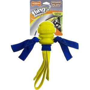 Nylabone Power Play Fling-a-Bounce Dog Toy, Large