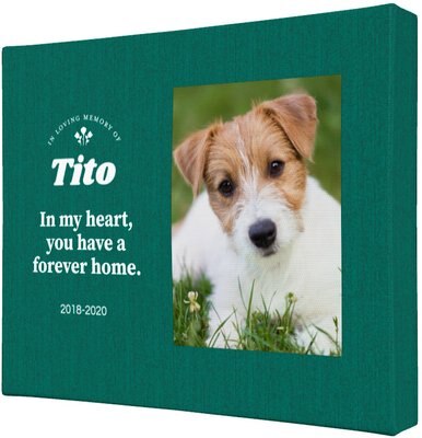 Frisco Personalized Memorial #1 Gallery-Wrapped Canvas, slide 1 of 1