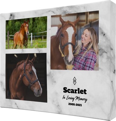 Frisco Personalized Memorial #5 Gallery-Wrapped Canvas, slide 1 of 1