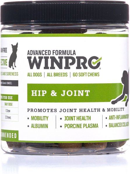 Winpro Pet Hip & Joint Soft Chews Dog Supplement, 60 count slide 1 of 5