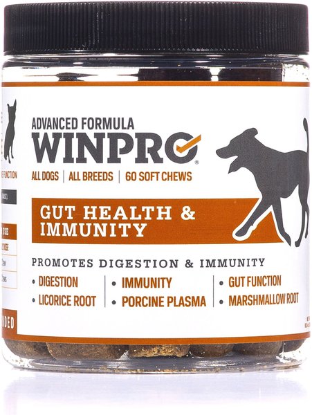 Winpro Pet Gut Health Soft Chew Dog Supplement, 60 count slide 1 of 5