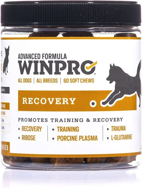 Winpro Pet Recovery Soft Chew Dog Supplement, 60 count slide 1 of 5