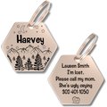 PawFurEver Hexagon Personalized Dog ID Tag, Rose Gold, Darknight