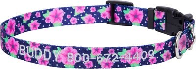 Frisco Midnight Floral Polyester Personalized Dog Collar, slide 1 of 1