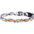 Frisco Reef Life Polyester Personalized Dog Collar, Small: 10 to 14-in neck, 5/8-in wide