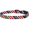 Frisco American Flag Polyester Personalized Dog Collar, Large: 18 to 26-in neck, 1-in wide