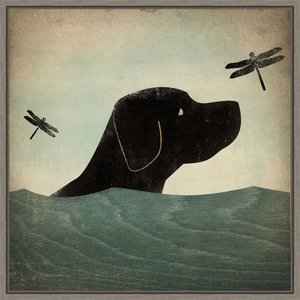 Amanti Art Black Dog Swim by Ryan Fowler Framed Canvas Art, Greywash