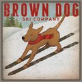 Amanti Art Brown Dog Ski Company by Ryan Fowler Framed Canvas Art, Greywash