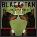 Amanti Art Double Doberman Vineyards by Ryan Fowler Framed Canvas Art, Black