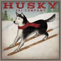 Amanti Art Husky Ski Company by Ryan Fowler Framed Canvas Art, Greywash