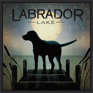 Amanti Art Moonrise Labrador Lake by Ryan Fowler Framed Canvas Art, Black