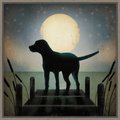 Amanti Art Moonrise Black Dog by Ryan Fowler Framed Canvas Art, Greywash