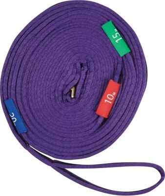 Kincade Two Tone Horse Lunge Line & Circle Marker, 36-ft, slide 1 of 1