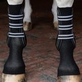 EquiFit GelSox Horse Socks, Black