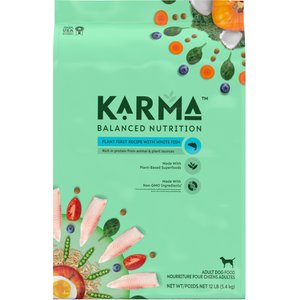 Karma Balanced Nutrition Plant First Recipe with White Fish Adult Dry Dog Food, 12-lb bag
