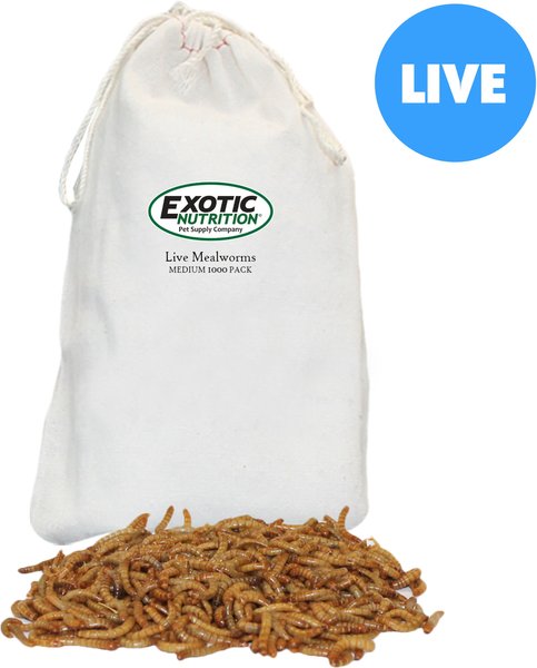 Exotic Nutrition Live Mealworms Reptile Food, Medium, 1000 count slide 1 of 5