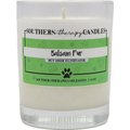 Southern Therapy Candles Balsam Fur Odor Eliminator Candle