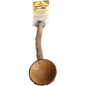 Polly's Pet Products Coconut Cup Bird Perch, Large