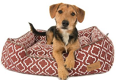 P.L.A.Y. Pet Lifestyle & You Moroccan Bolster Cat & Dog Bed w/Removable Cover, slide 1 of 1