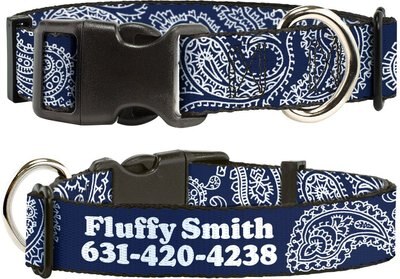 Buckle-Down Polyester Personalized Dog Collar, Paisley Blue & White, slide 1 of 1