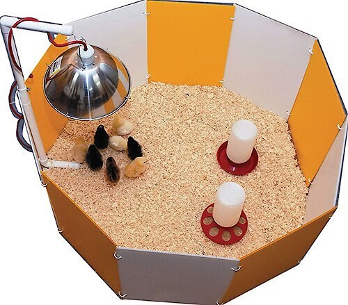 Farm Innovators Baby Chick Starter Home  slide 1 of 1