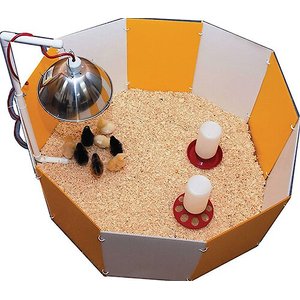 Farm Innovators Baby Chick Starter Home 