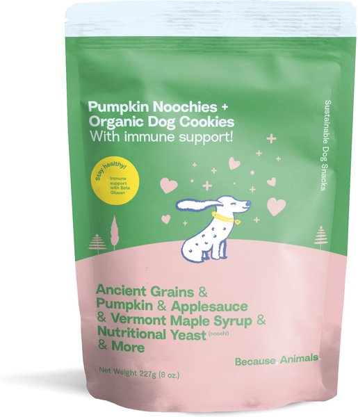 Because Animals Pumpkin Noochies + Organic Dog Cookies Ancient Grains, Pumpkin, Applesauce, Vermont Maple Syrup & Nutritional Yeast Dog Treats, 8-oz bag slide 1 of 6