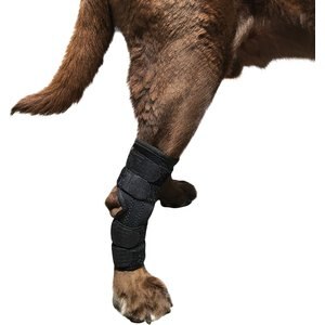 Labra Extra Supportive Dog Hock Brace with Flex Straps, X-Large