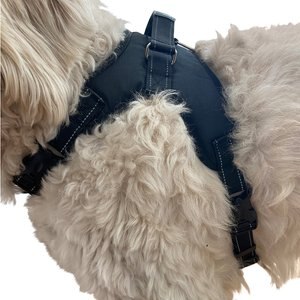 Labra Dog Chest Harness, Large