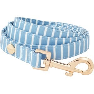 Frisco Fashion Leash, Striped, MD - Length: 6-ft, Width: 3/4-in