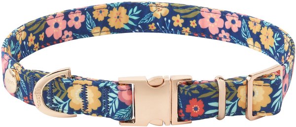 Frisco Fashion Collar, Tropical Floral, LG - Neck: 18 - 26-in, Width: 1-in slide 1 of 5