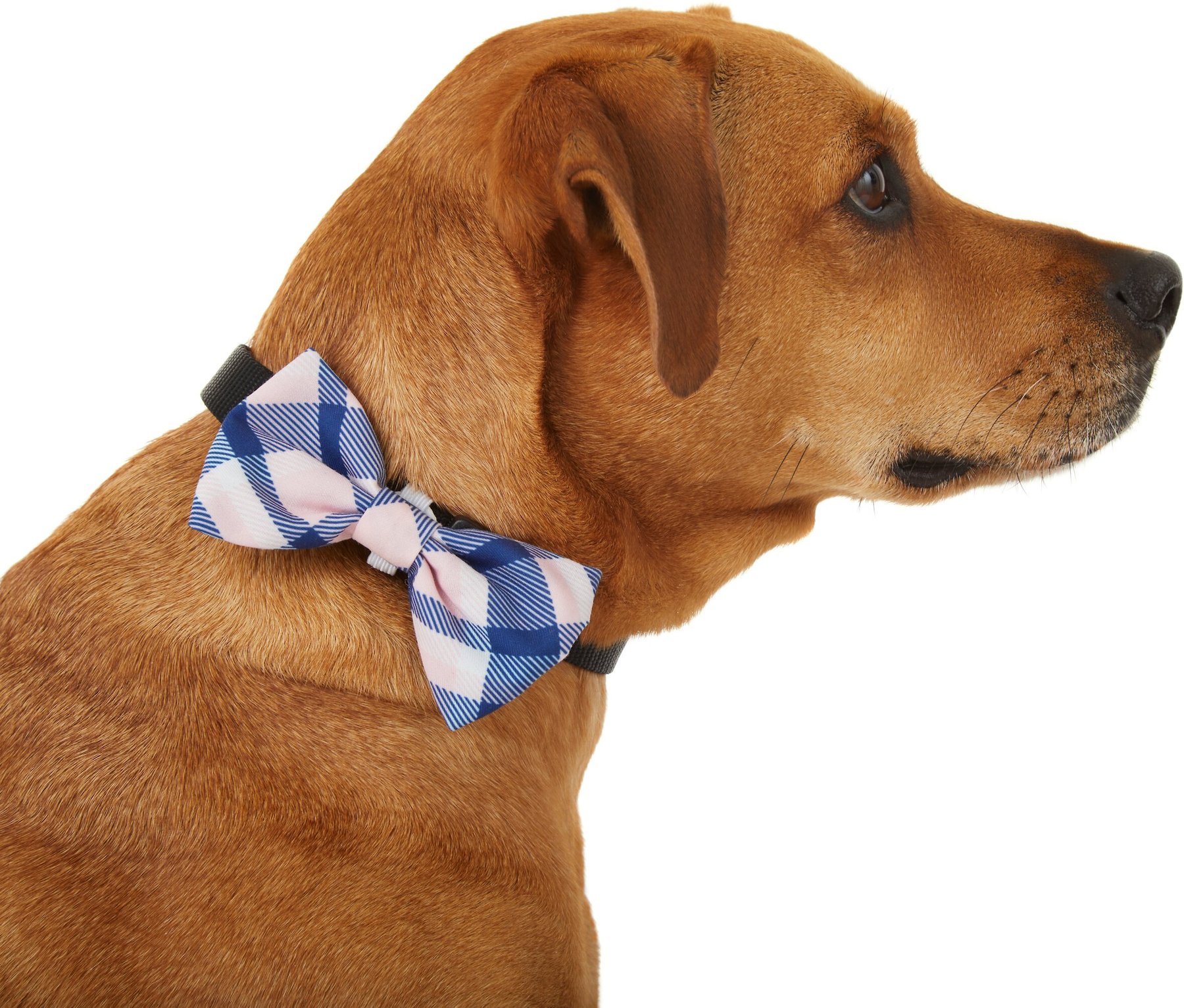Pink Plaid Paws Bow Ties and Flower Bows for Dogs