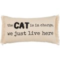 Mud Pie "Charge Canvas" Pillow