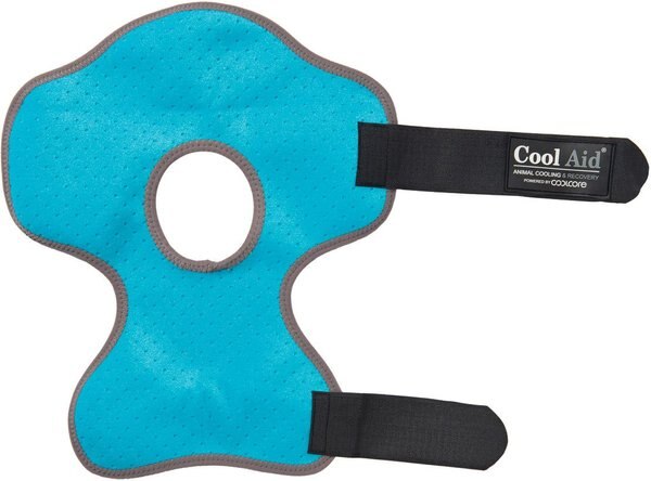 Weaver Leather CoolAid Equine Icing & Cooling Hock Horse Wraps, Turquoise, Large slide 1 of 1
