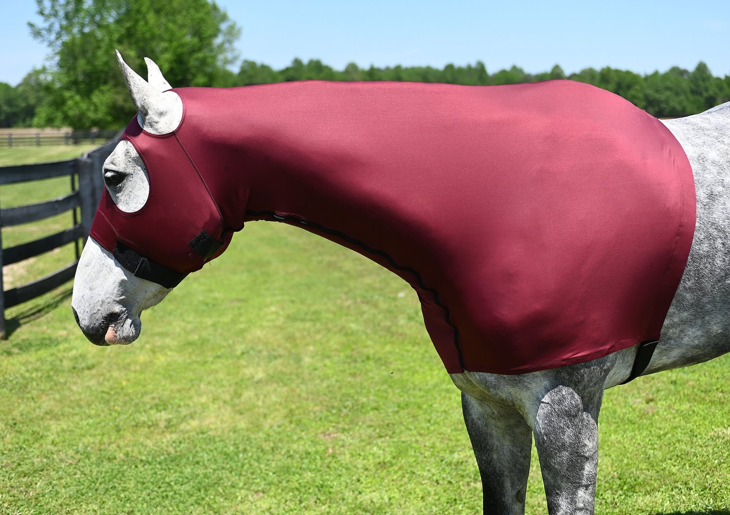 Face and Neck Cover Full Separating Zip in LARGE BURGUNDY Horse Stretch Hood