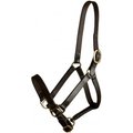 Gatsby Leather Adjustable Turnout Horse Halter, Horse