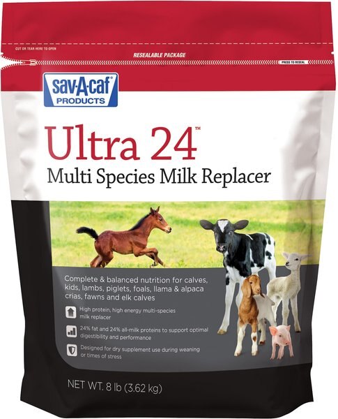 Sav-A-Caf Ultra 24 Multi Species Milk Replacer, 8-lb pouch slide 1 of 5