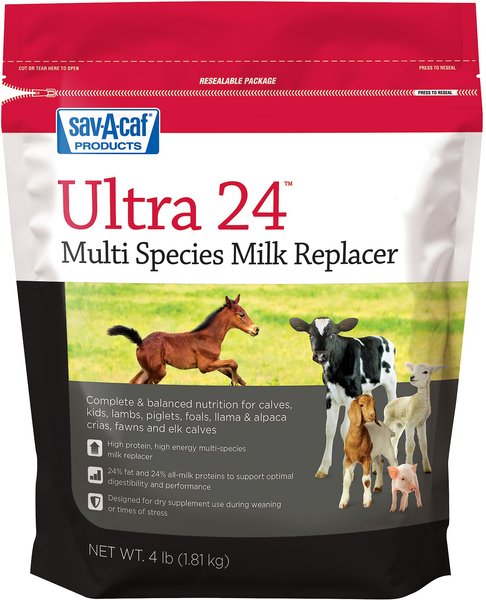 Sav-A-Caf Ultra 24 Multi Species Milk Replacer, 4-lb pouch slide 1 of 5