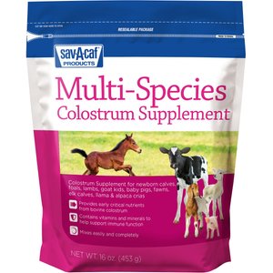 Sav-A-Caf Ultra Start Multi Species Colostrum Supplement, 1-lb pouch