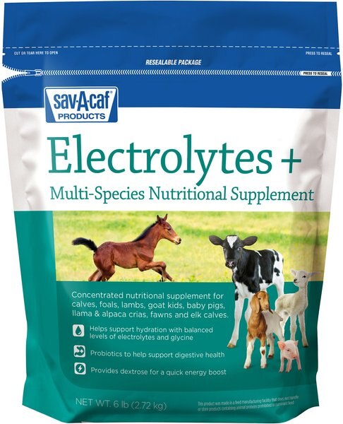 Sav-A-Caf Electrolytes Plus Multi Species Supplement, 6-lb bag slide 1 of 6